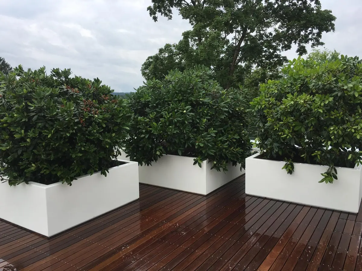 Dachterrasse mit Bepflanzung